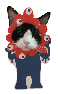 hagecita