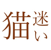 迷い猫