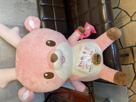 純ちゃん