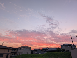 まーこ