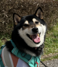 ななこさん