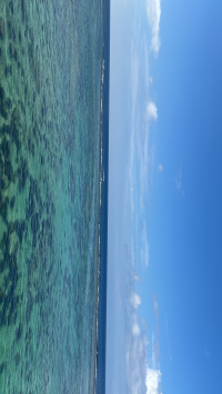 はる