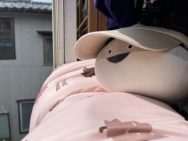 すのう