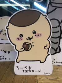 もとこ