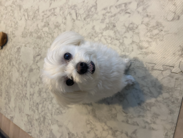 みーーー