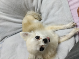 殿