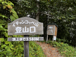 あぐら