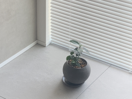 ニット