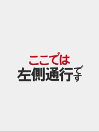しまうみ