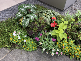 花手毬