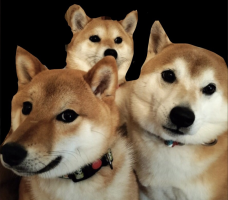 5884