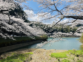ももママ
