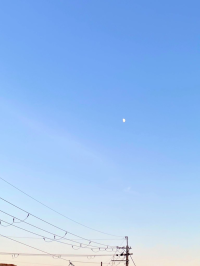 ぺぺこ