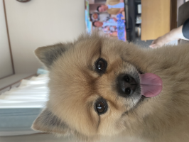 らくママ