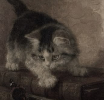 nya