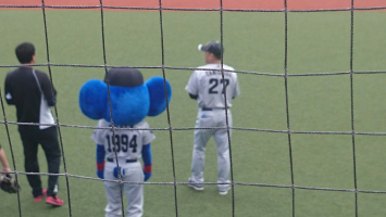 どあら