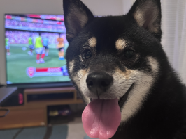 まいまいだよ