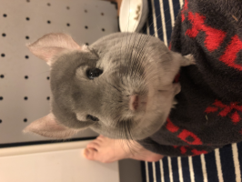 なちママ