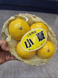 小夏