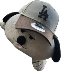としちゃん