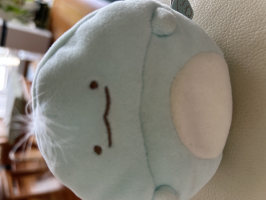 くまこ