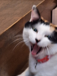 hrm