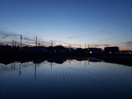み