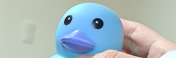 みみみみ