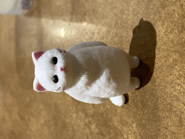 はらっぱ