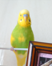 みとち