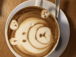 ユキキタ
