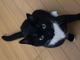 うっじー