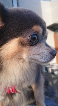 MIEchan