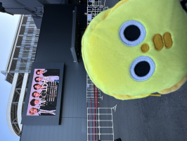 でこ