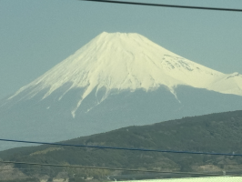 ゆみこ