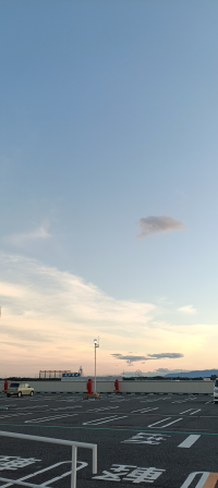 なゆ