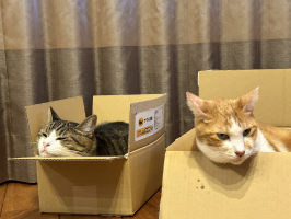 タマチコ
