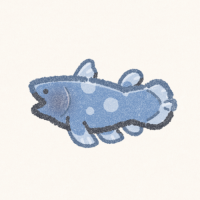 okaki