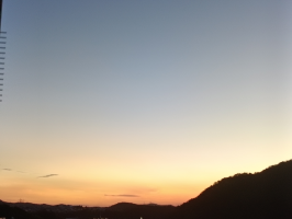 まめこ