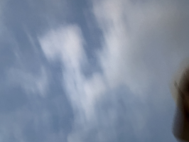 まめ