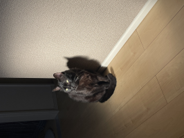 もぐ