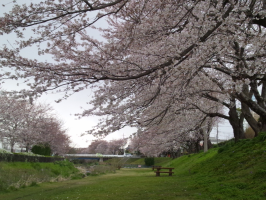 ﾅﾁｭﾗﾙ好き