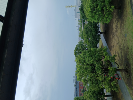 ひらりん