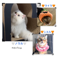 マイキー