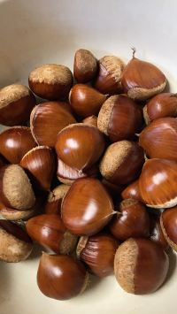Poipoi