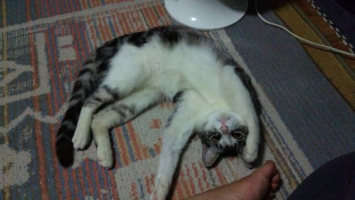 かんた