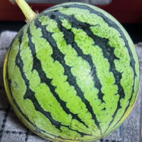 すいか