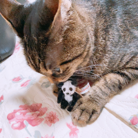 まいけるくんのおともだち