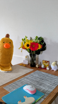 モフ