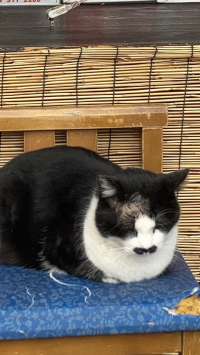 ふふふ